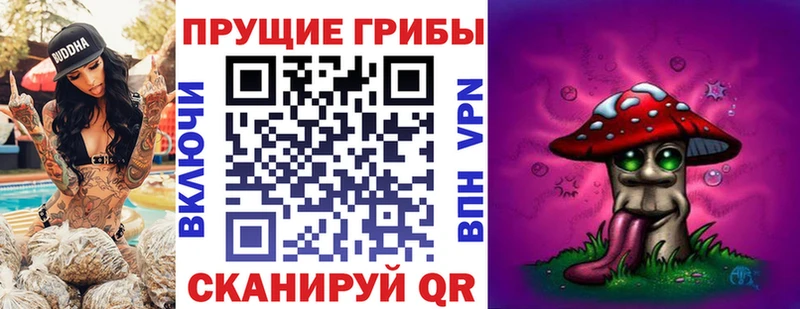 Галлюциногенные грибы Psilocybine cubensis  даркнет сайт  Орехово-Зуево 